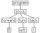 program